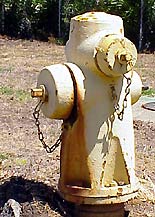 Photo of wet barrel hydrant